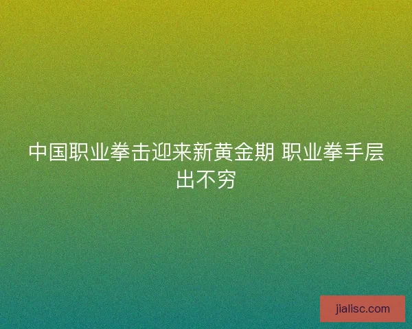 中国职业拳击迎来新黄金期 职业拳手层出不穷