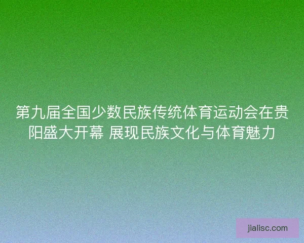 第九届全国少数民族传统体育运动会在贵阳盛大开幕 展现民族文化与体育魅力